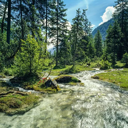 Hotel Schönegg Seefeld in Tirol