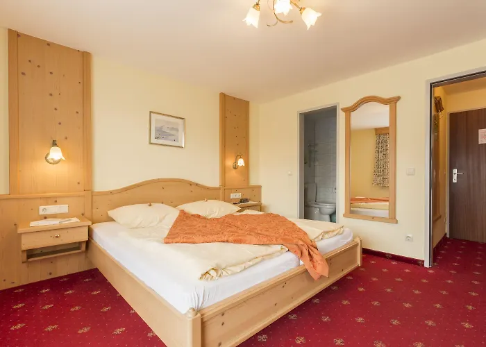 酒店 舍内格酒店