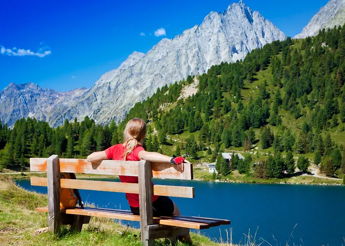 酒店 舍内格酒店