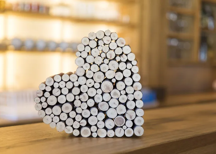 酒店 舍内格酒店 蒂罗尔-泽费尔德