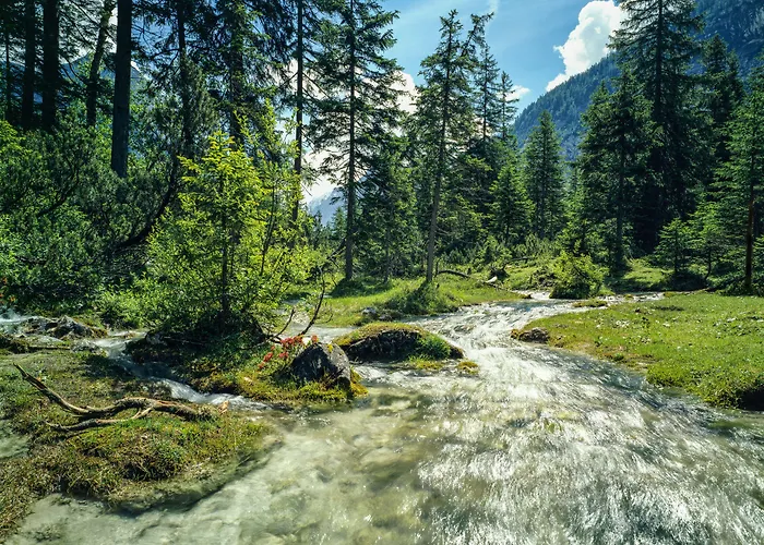 酒店 舍内格酒店 蒂罗尔-泽费尔德